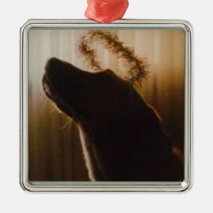 Gelbe Labrador Angel Ornament by Willowcatdesigns