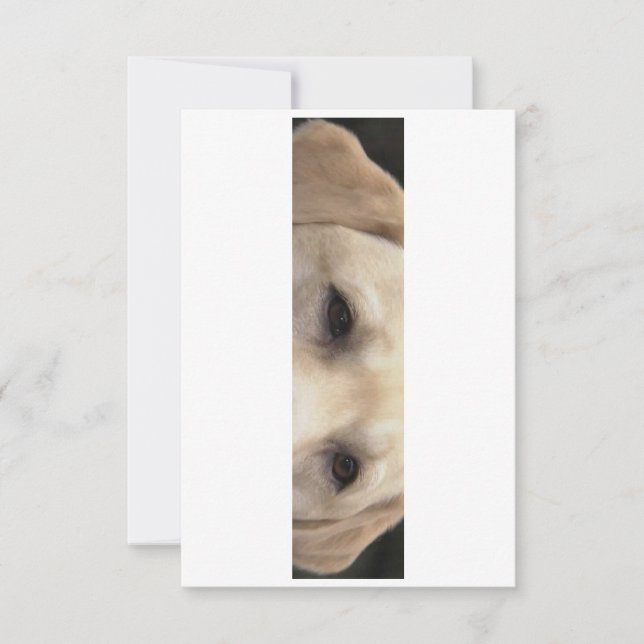 gelbe Labrador Augen Dankeskarte (Vorderseite)