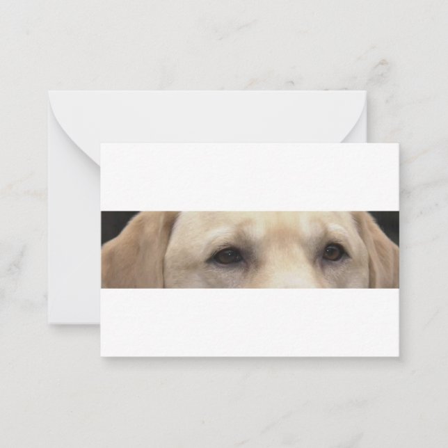 gelbe Labrador Augen Mitteilungskarte (Vorderseite)