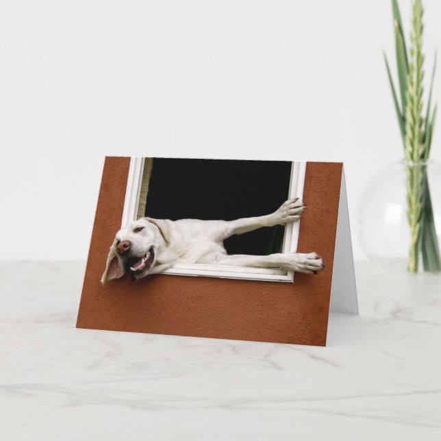 Gelbe Labrador-Grußkarte Karte (Vorderseite)