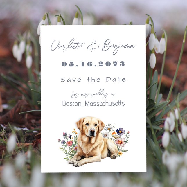 Gelbe Labrador Hund Hochzeit Speichern Sie die Dat Save The Date (Von Creator hochgeladen)