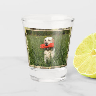 Gelbe Labrador Jagd Hund mit Camouflage Trim Schnapsglas