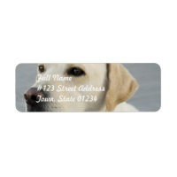 Gelbe Labrador-Mailing-Labels