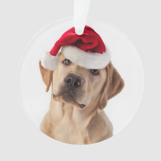Gelbe Labrador mit Weihnachtsmannmütze Ornament