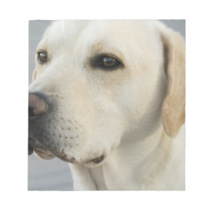 Gelbe Labrador Notepad Notizblock