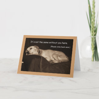 Gelbe Labrador Pit Husky I Miss You Card Karte