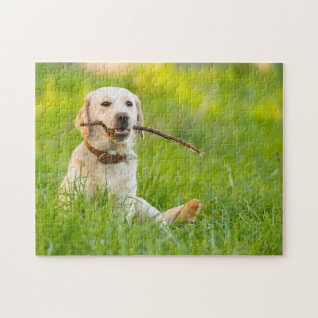 Gelbe Labrador-Plays mit Stick Puzzle (Horizontal)