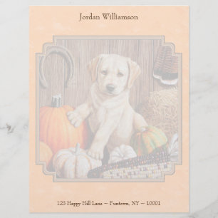 Gelbe Labrador Pup und Pumpkin Harvest Orange Briefkopf