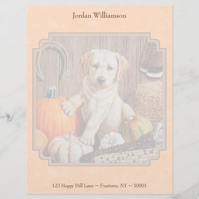 Gelbe Labrador Pup und Pumpkin Harvest Orange Briefkopf (Vorderseite)