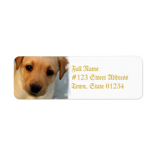 Gelbe Labrador-Puppy-Mailing-Label