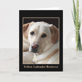 Gelbe Labrador retriever-Gruß-Karte (freier Raum) Karte