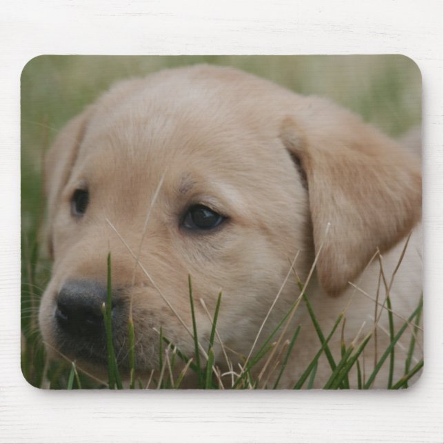 Gelbe Labrador retriever-Mausunterlage Mousepad (Vorne)