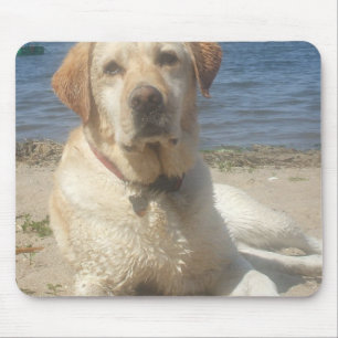 Gelbe Labrador retriever-Mausunterlage Mousepad