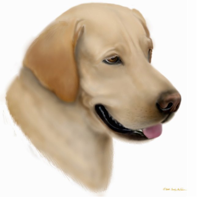 Gelbe Labrador retriever-Verzierung Fotoskulptur Ornament (Vorne)