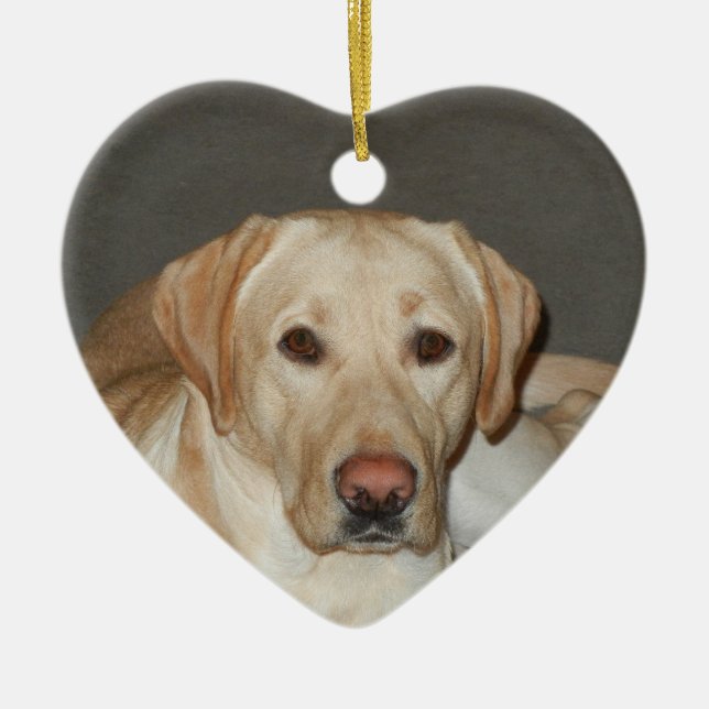 Gelbe Labrador retriever-Weihnachtsverzierung Keramikornament (Vorne)