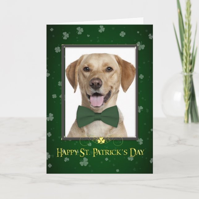 Gelbe Labrador St. Patrick's Day Card Karte (Vorderseite)
