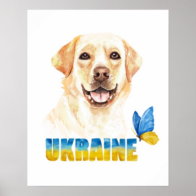Gelbe Labrador und Schmetterling in der Ukraine Poster (Vorne)