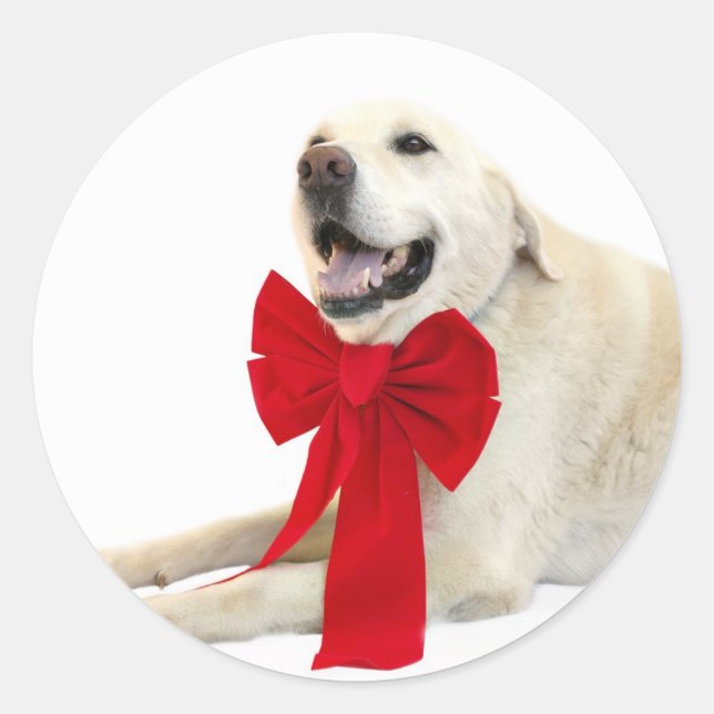 Gelbe Labrador Weihnachtsaufkleber Runder Aufkleber (Vorderseite)