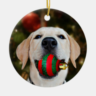 Gelbe Labrador Weihnachtsball Keramikornament