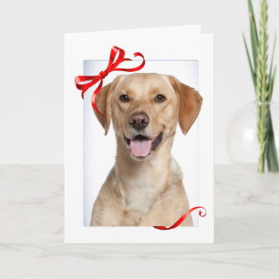 Gelbe Labrador Weihnachtskarte Feiertagskarte