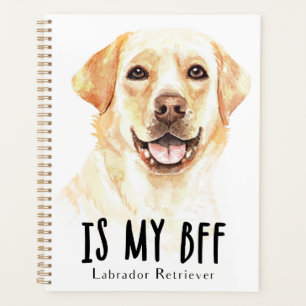 gelbe Labrador Welpe Hunde Wasserfarben Labrador R Planer