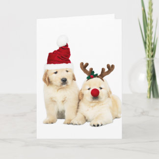 GELBE LABRADOR-WELPEN WEIHNACHTSKARTE KARTE