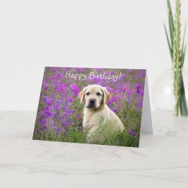 Gelbe Labrador Welppy Birthday Card Dankeskarte