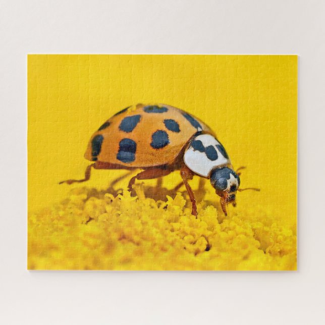 Gelbe Ladybird, Jigsaw Puzzle (Horizontal)