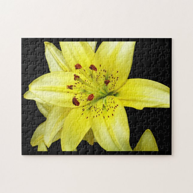 Gelbe Lilie Nah Puzzle (Horizontal)