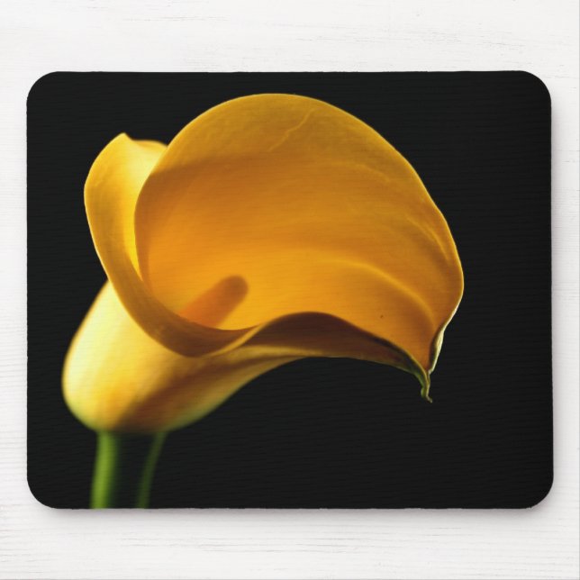 Gelbe Lilly Blume Hübsches Floral Mousepad (Vorne)