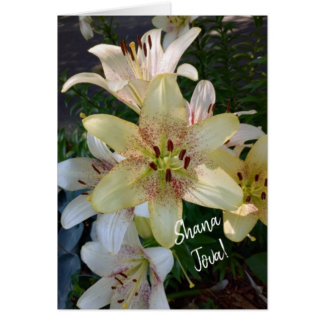 Gelbe Lily Blume Rosh Hashanah Card (Vorne)