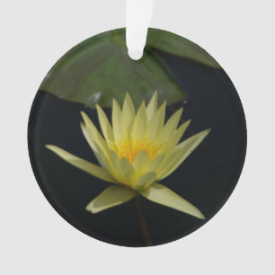 Gelbe Lotus Wasserlilie Blume Keramik Ornament