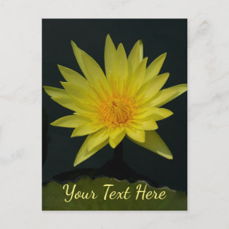 Gelbe Lotus-Wasserlilie Postkarte