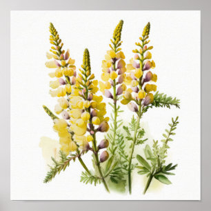 Gelbe Lupine Blume Art Print Poster