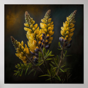 Gelbe Lupine Blume Art Print Poster