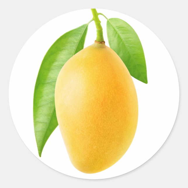 Gelbe Mango Runder Aufkleber (Vorderseite)
