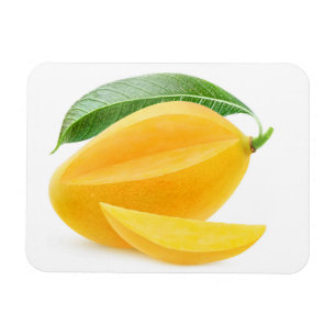 Gelbe Mango schneiden Magnet