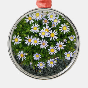 Gelbe Margarita-Blume mit grauen Kies Silbernes Ornament