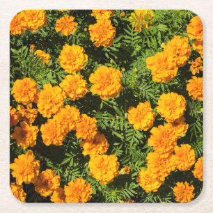Gelbe Marigold-Blume Rechteckiger Pappuntersetzer