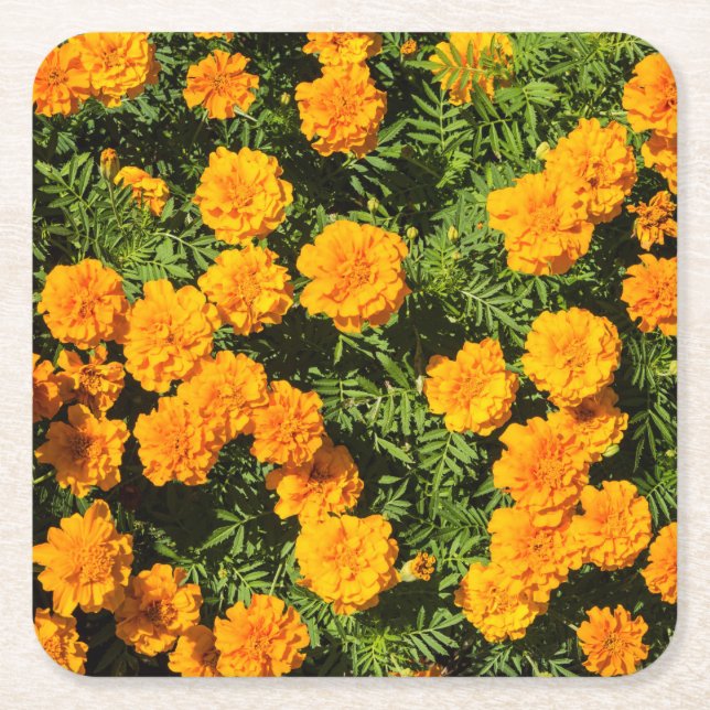 Gelbe Marigold-Blume  Rechteckiger Pappuntersetzer (Vorderseite)