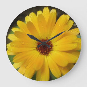 Gelbe Marigold-Macintosh Große Wanduhr