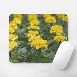 Gelbe Marigold mit Raindrops-Mauspad Mousepad