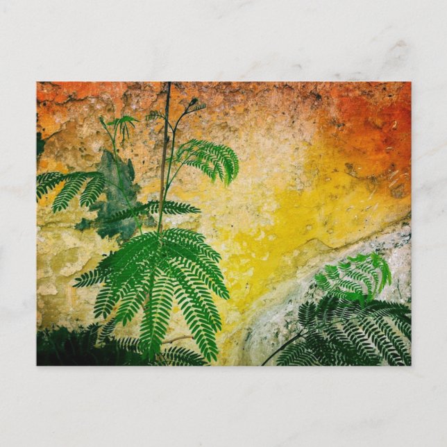 Gelbe Mauer mit Pflanze Postkarte (Vorderseite)