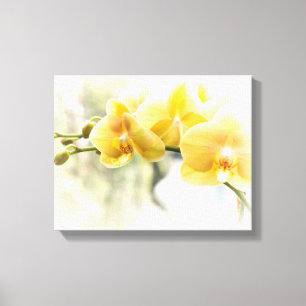 Gelbe Motten-Orchidee im Sonnenschein Leinwanddruck
