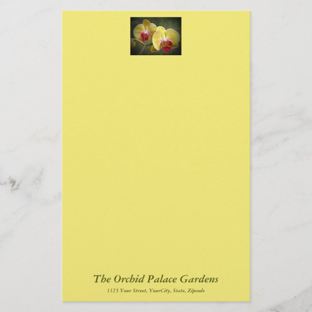 Gelbe Mottenorchien - Phalaenopsis Briefpapier (Vorderseite)
