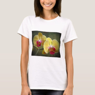 Gelbe Mottenorchien - Phalaenopsis T-Shirt
