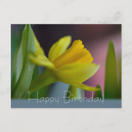 Gelbe Narzisse Blume CC0742 Geburtstag glücklich Postkarte