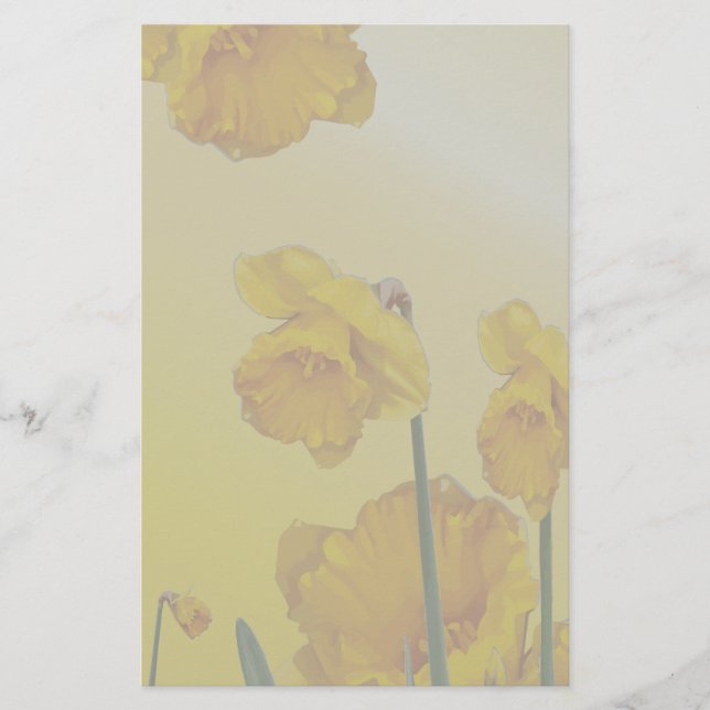 Gelbe Narzisse Daffodil Briefpapier (Vorderseite)
