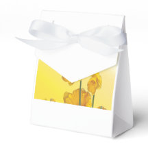 Gelbe Narzisse Dickdarm Fab Blume Bläserne