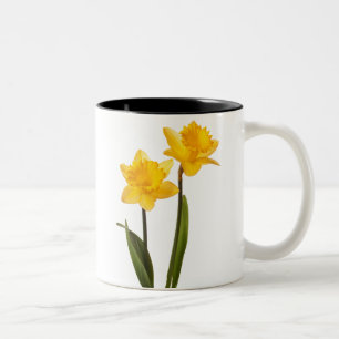 Gelbe Narzissen auf Weiß - Narzissen-Blumen-freie Zweifarbige Tasse